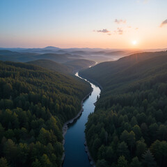 "Aerial Drone Shot of Winding River Cutting Through Dense Forest at Sunrise"
f
