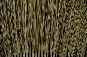 An extreme macro abstract texture background of the fine, parallel bristles of a natural fiber brush, such as a paintbrush or a broom, creating a vertical line pattern.