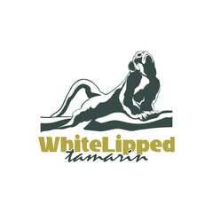 White Lipped tamarin monkey design vector illustration, funny smart pet with an emotional face