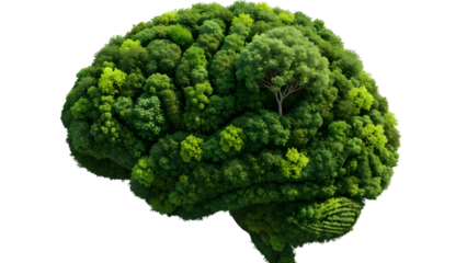 Brain shaped forest isolated on transparent background represents nature and intelligence