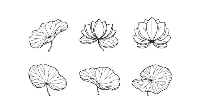 Collection of delicate lotus flower and leaf illustrations in silhouette style
