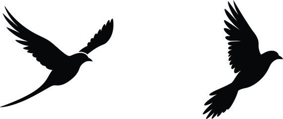 Obraz premium Two birds in flight silhouetted against a plain white background