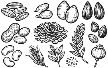 Seeds and grains doodle collection isolated on transparent background, generative ai