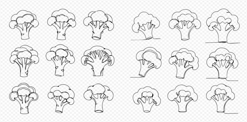 Multiple broccoli florets are arranged in a grid, depicted as line art outlines on a transparent background.