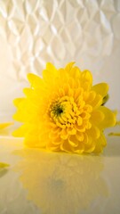 Close-up of a vibrant yellow flower (7)