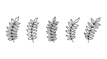 Delicate hand drawn botanical branches with leaves in a simple line art silhouette