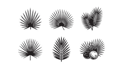 Collection of detailed black palm leaf silhouettes with tropical elements