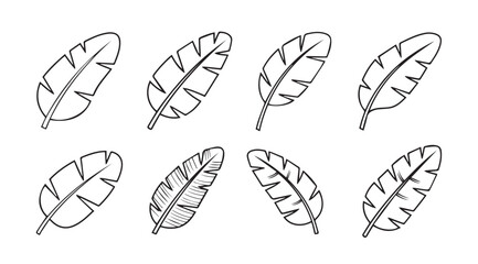Collection of hand drawn banana leaf silhouettes in sketchy style