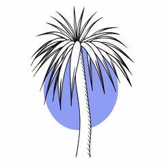 Obraz premium Stylized palm tree with blue circle background