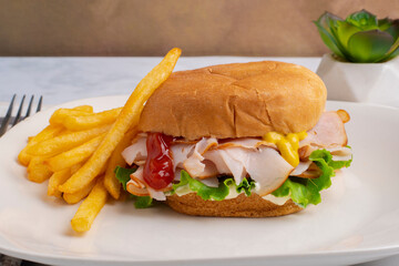 turkey sandwich with french fries