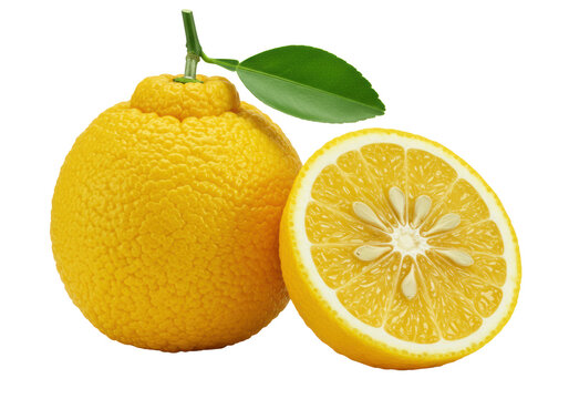 Vibrant yellow yuzu lemon, whole and halved, bumpy rind, juicy pulp, green stem, glossy leaf, on transparent background with copy space, soft shadows, natural freshness concept