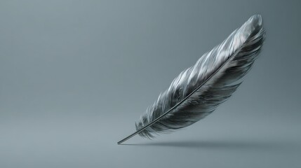 A delicate, elegant silver feather against a soft blue background, embodying grace and sophistication.