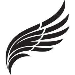 Single black wing isolated on white background