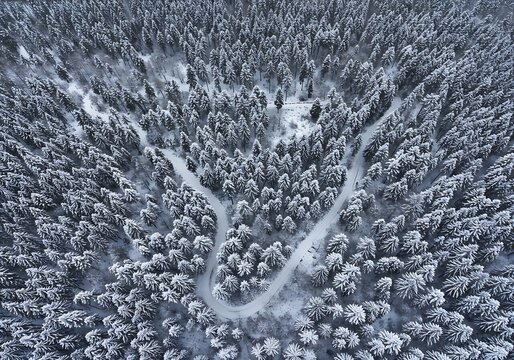 Winter's Whisper: Aerial View of a Snow-Covered Forest