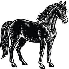 Vintage horse engraving style illustration in black and white with detailed linework and classic aesthetic