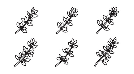 Six hand drawn botanical illustrations of lavender stems silhouette