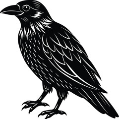 High contrast black silhouette of a raven bird with spread wings isolated on white background vector graphic design