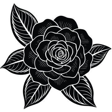 Elegant camellia flower illustration with delicate fine line details in a classic floral design