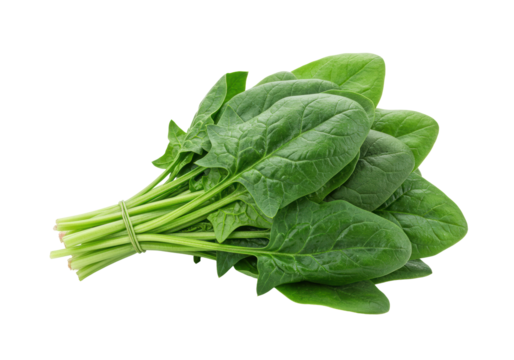 deep green, fresh spinach leaves with crinkled texture and visible stems, isolated against a transparent background with copy space, soft studio lighting, macro details, concept of healthy, fresh