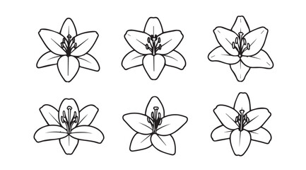 Six detailed black and white lily flower silhouettes in a grid pattern