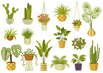 Collection of various potted houseplants and hanging plants