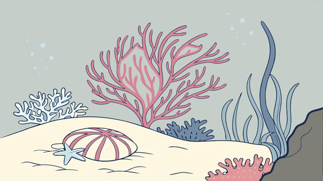seagrass beds drawing