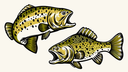 Two speckled trout fish open mouths isolated on white background