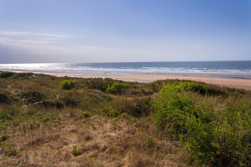 Dunes on beautiful sandy beach at the coastal village De Haan, West Flanders, Belgium, sunny summer day