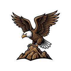 ilustration vector bald eagle on white background	