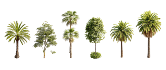 Collection of stylized trees in various shapes and sizes