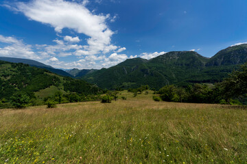 Summer landscape in the Domogled mountain range, in Romania