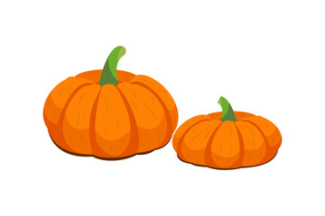 Two Orange Pumpkins Vector Illustration Isolated on White Background