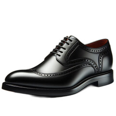 pair of shoes