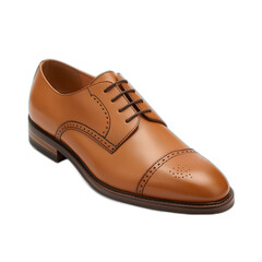 brown leather shoes