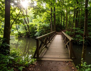 Forest Bridge Over Water