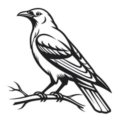 Obraz premium Crow on Branch Illustration