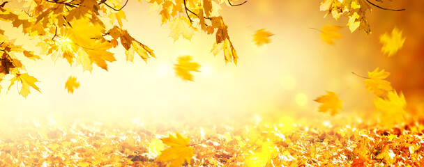 Fall autumn maple tree foliage on blurred background with bokeh, falling leaves flying on wind, autumnal festive wide panoramic banner with empty copy space.
