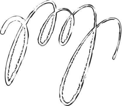 Set of grunge brush strokes