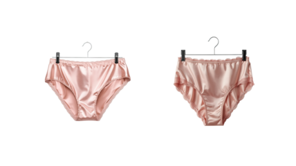 Pink satin panties on hanger on transparent background png