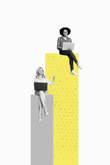 Vertical art image poster 3d banner collage of two happy business partners girls surf laptop chart...