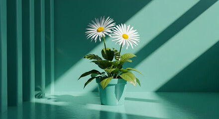 Single Daisy in Mint Room with Dramatic Sunlight and Shadows

