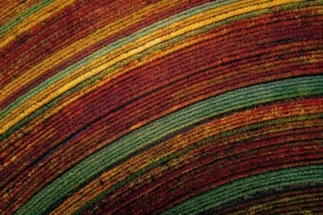 Vibrant Aerial View of Colorful Curved Fields in Autumn Splendor.