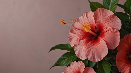 A beautiful, seamless floral pattern, which has been created from painterly illustrations of red tropical hibiscus flowers and green leaves, is presented as a background. Exotic summer textile design 