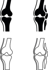 Human knee joint anatomy in black and white vector illustration