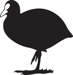 illustration of a duck