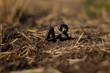 Black candles in the shape of the number forty-three stand in a cultivated field with straw