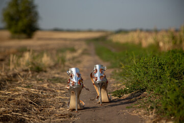 Silver women's high-heeled shoes stand on a dirt road in the middle of a field