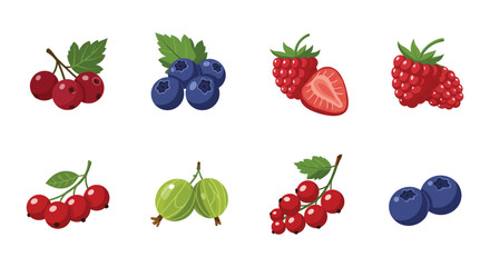 Collection of colorful fresh berries including blueberries raspberries and currants