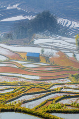 The rice terraces at Bada site in Yuanyang county, China © Tatiana Kashko