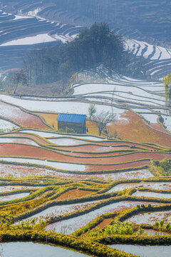 The rice terraces at Bada site in Yuanyang county, China